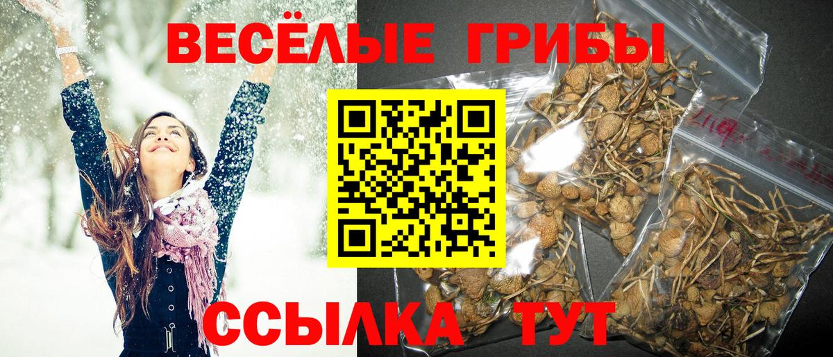 Галлюциногенные грибы мицелий  Вход с VPN  Псилоцибиновые грибы Magic Shrooms  Ефремов 
